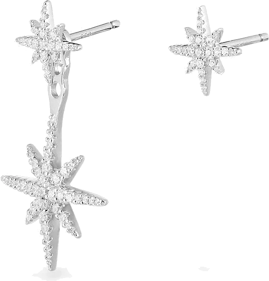 Boucles d'oreilles femme APM Monaco Météorites argent 925, référence AE10596OX vue 2