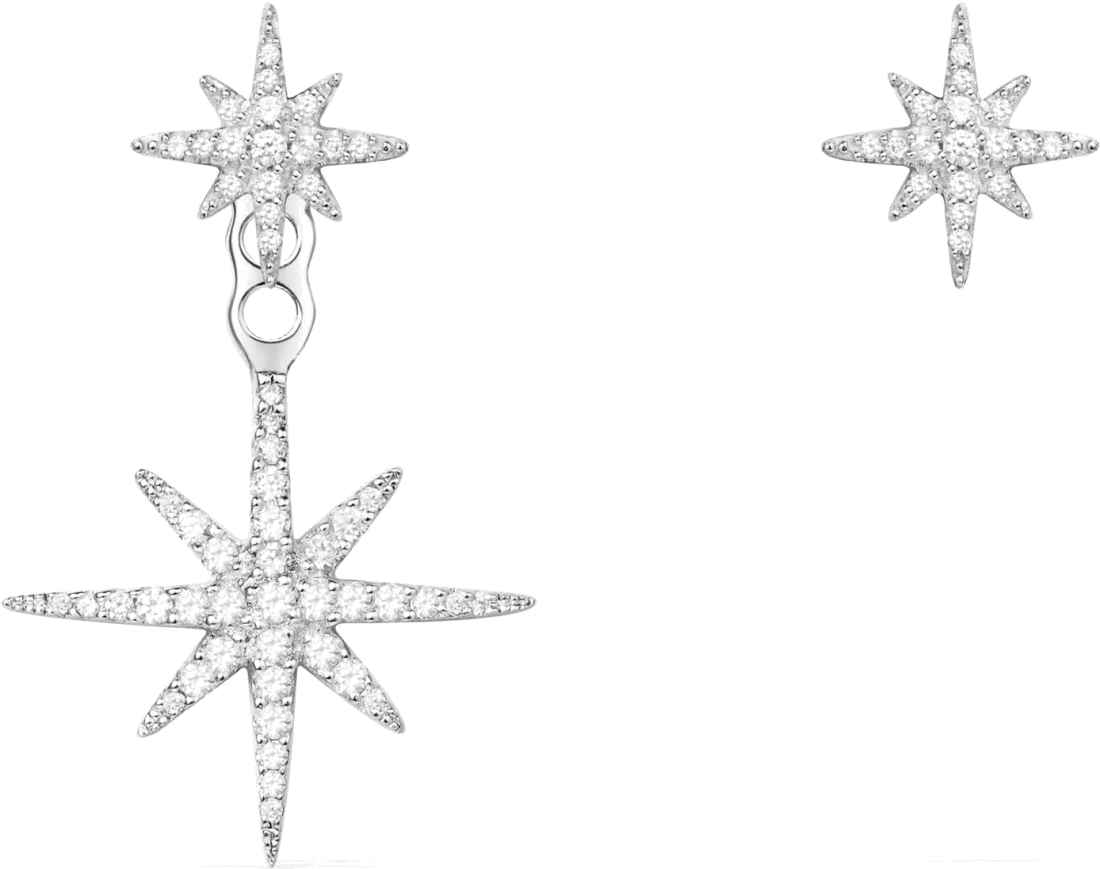 Boucles d'oreilles femme APM Monaco Météorites argent 925, référence AE10596OX