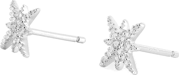 Boucles d'oreilles APM Monaco Météorites en argent 925 avec zirconiums - Réf. AE8419OX vue 2