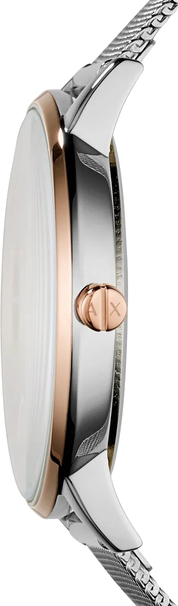 Montre Femme Armani Exchange AX5537 en acier argenté à maille milanaise vue 4