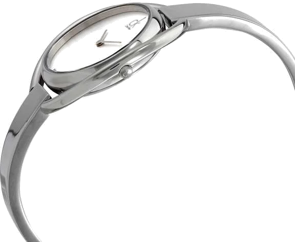 Montre Femme Calvin Klein K4F2N116 Acier Argenté Swiss Made - Cadran Ovale 40mm vue 2