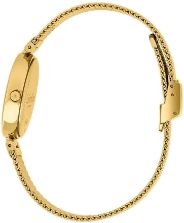 Montre Calvin Klein Authentic K8G23526 en acier doré pour femme vue 2