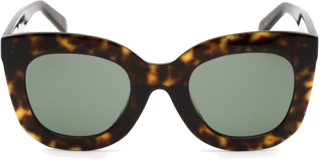 Lunettes de soleil Celine Papillon S005 CL4005FN monture en acétate - Ecaille vue 2