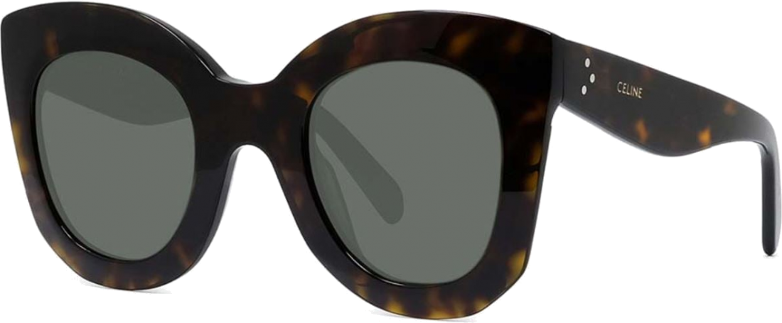 Lunettes de soleil Celine BOLD 3 dots CL4005IN monture en acétate - Ecaille vue 2