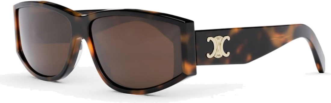 Lunettes de Soleil Celine Triomphe 07 CL40227U - Ecaille vue 2
