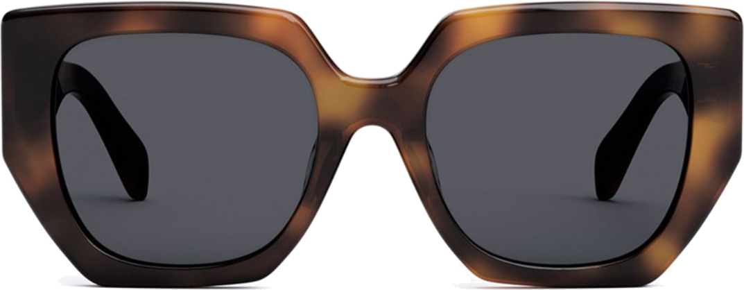 Lunettes de soleil CELINE Triomphe CL40239F - Acétate - Femme vue 2