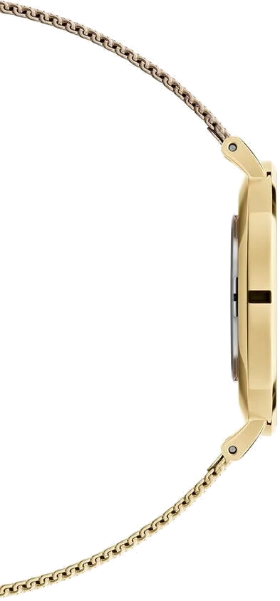 Montre Femme Daniel Wellington Petite Evergold DW00100346 - Boîtier et Maille Milanaise Or Jaune vue 2