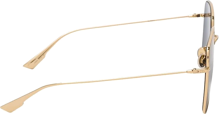 Lunettes de soleil Dior DIORSTELLAIRE1