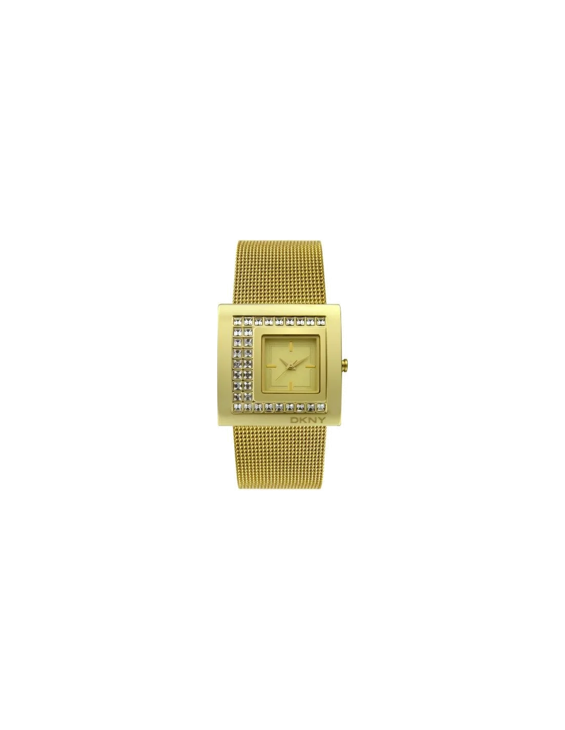 Montre Femme DKNY NY4629