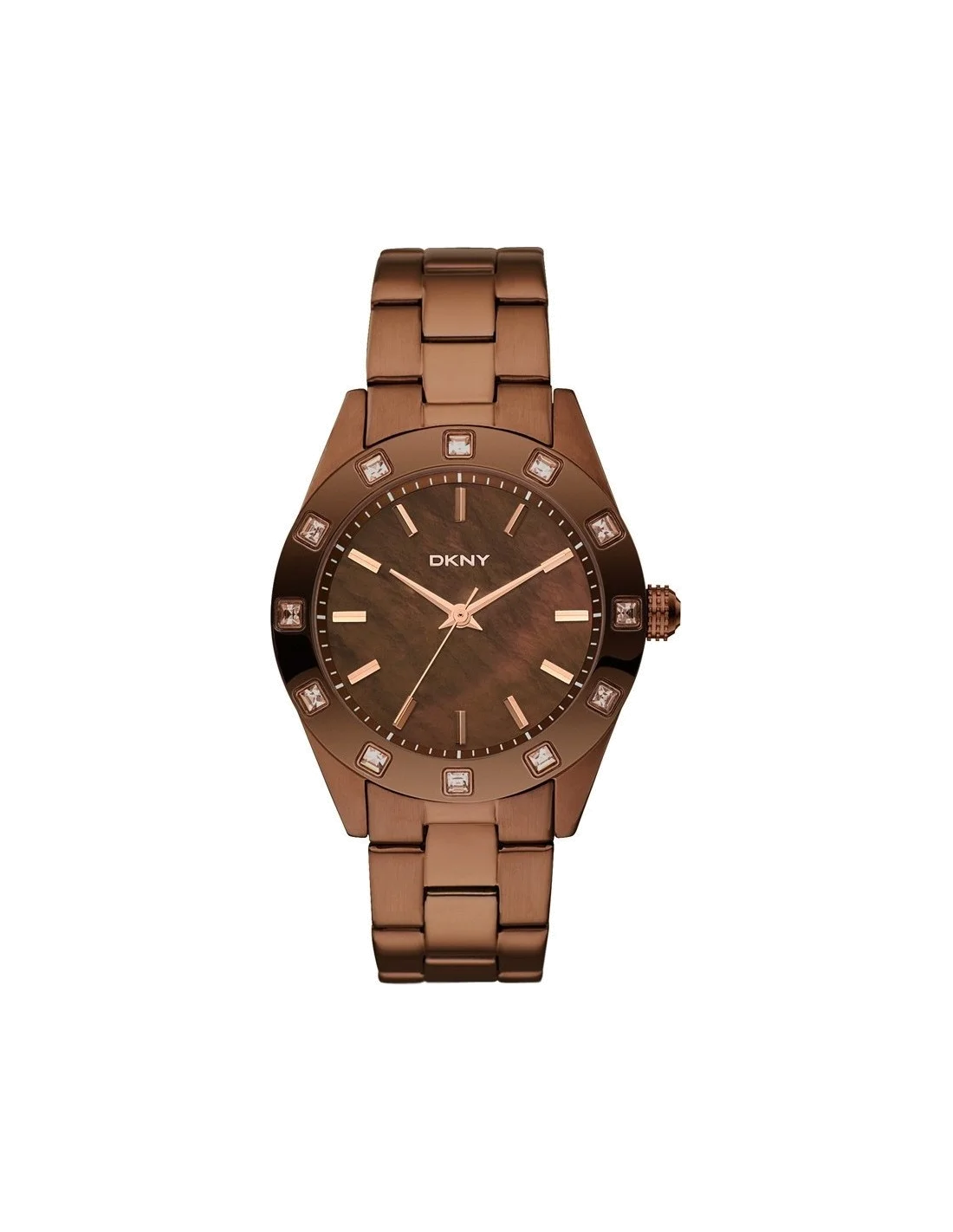 Montre Femme DKNY NY8663 Bracelet brun en acier inoxydable