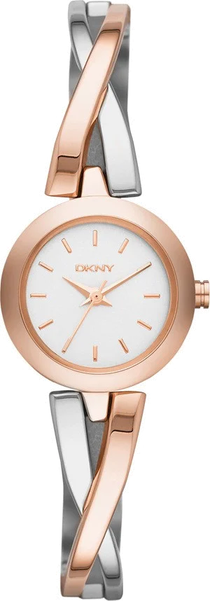 Montre Femme DKNY NY2172 Argent