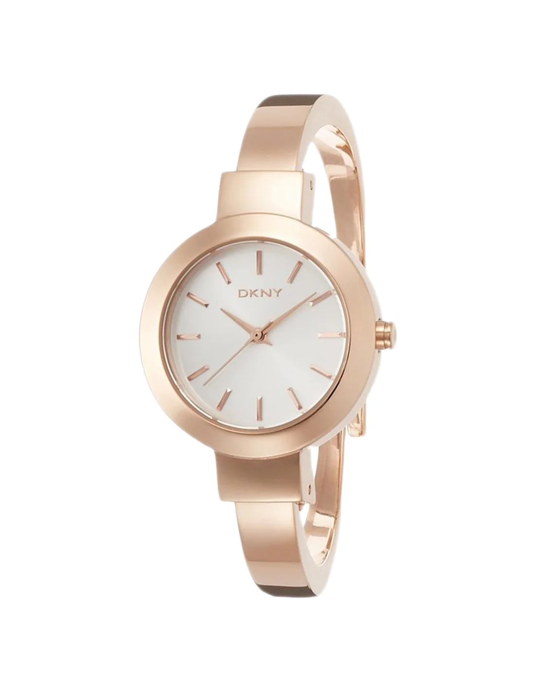 Montre Femme DKNY Stanhope NY2347
