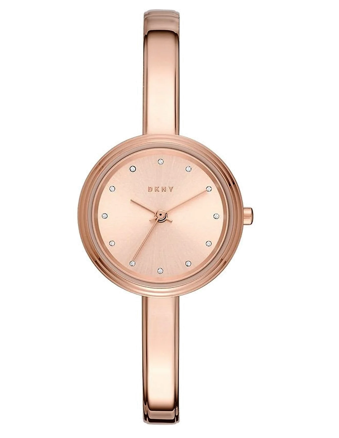 Montre Femme DKNY Murray NY2600