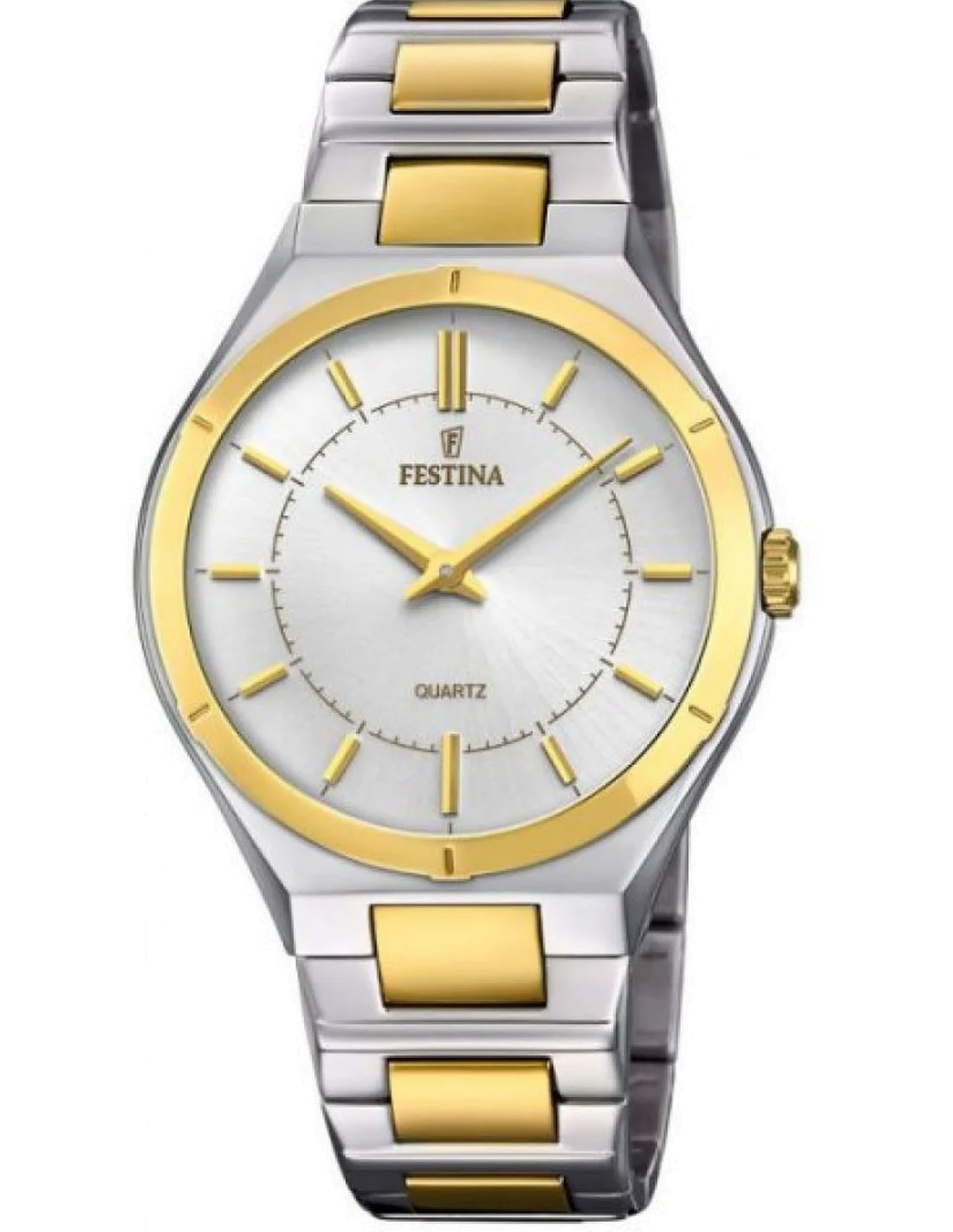 Montre Homme Festina F20245/1 - Cadran Argent, Boîtier Acier, Bracelet Cuir Noir