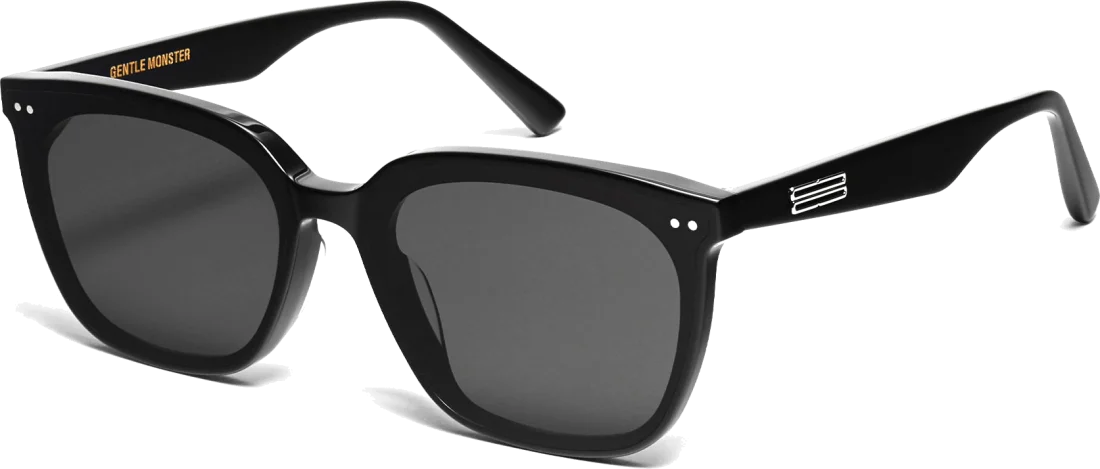 Lunettes de soleil Gentle Monster HEIZER01 - Monture noire unisexe