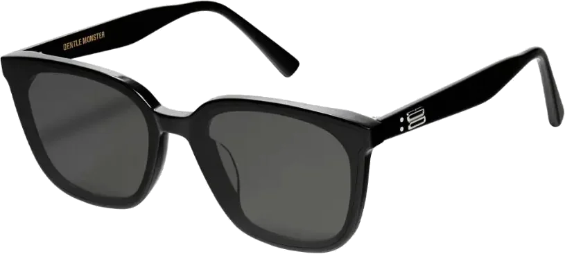 Lunettes de soleil Gentle Monster TAM 01 Noir - Modèle Unisexe