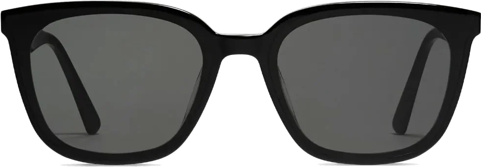 Lunettes de soleil Gentle Monster PLOT 01 Noir Unisexe vue 2