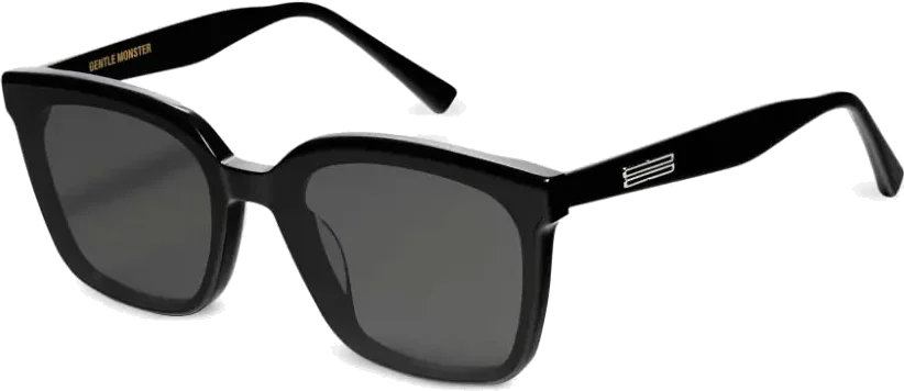 Lunettes de soleil Gentle Monster PLOT 01 Noir Unisexe