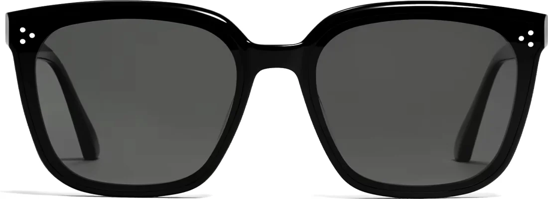 Lunettes de soleil Gentle Monster Palette 01 - Monture noire unisexe vue 2