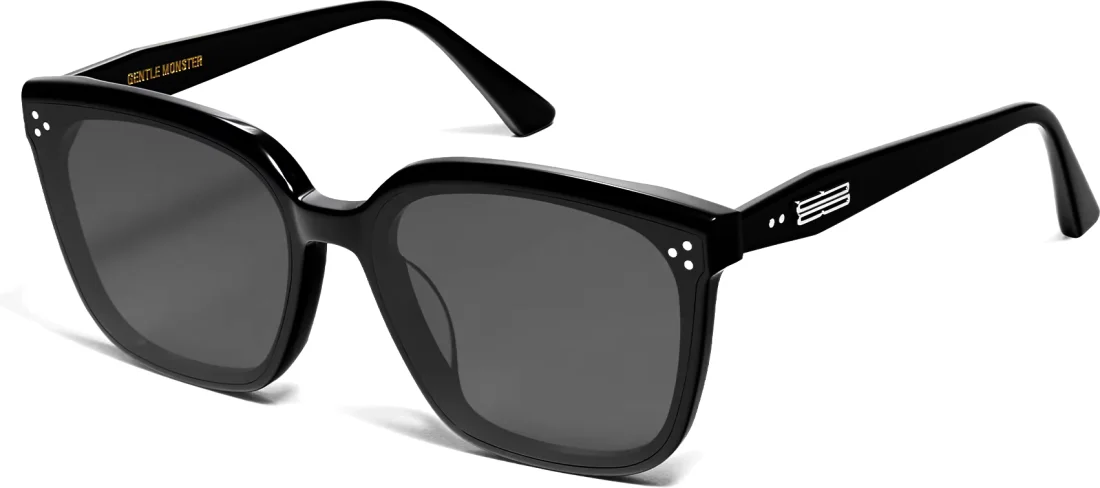 Lunettes de soleil Gentle Monster Palette 01 - Monture noire unisexe