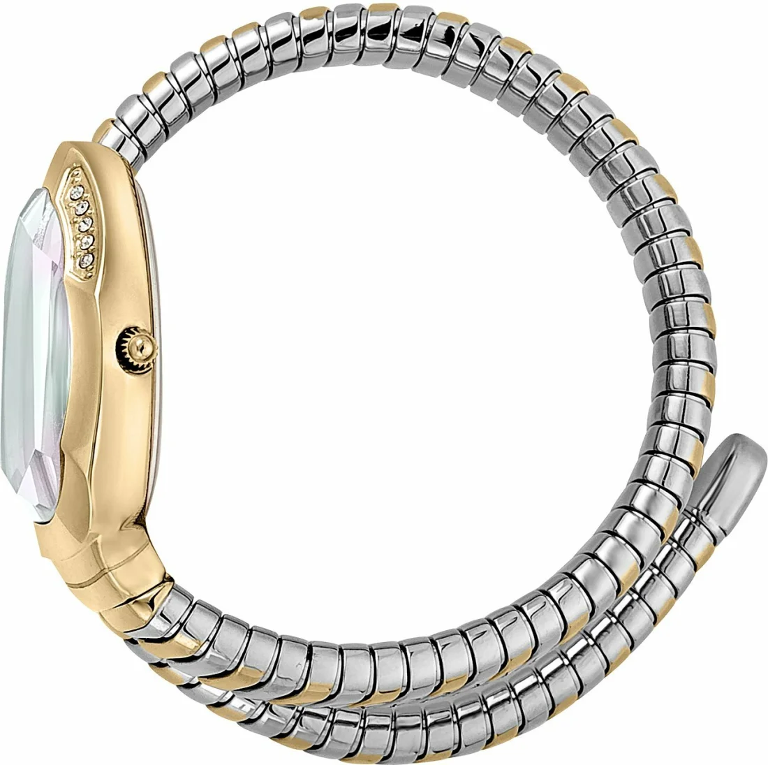 Montre Femme Just Cavalli JC1L208M0065 Bicolore Argent/Or Rose Cadran Nacre vue 3