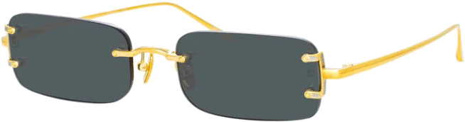 Lunettes de soleil Linda Farrow Taylor LFL1131 forme rectangulaire plaqué or - Gris vue 5