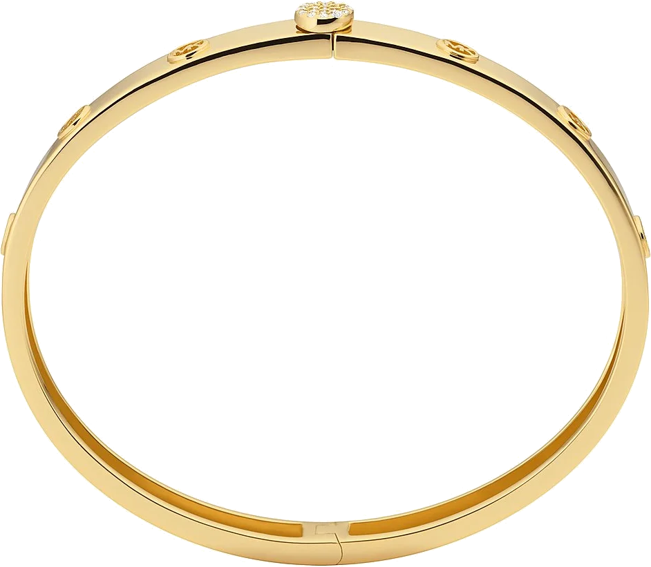 Bracelet Femme Michael Kors MKC1548AN710 en Argent Plaqué Or avec Zircons vue 2