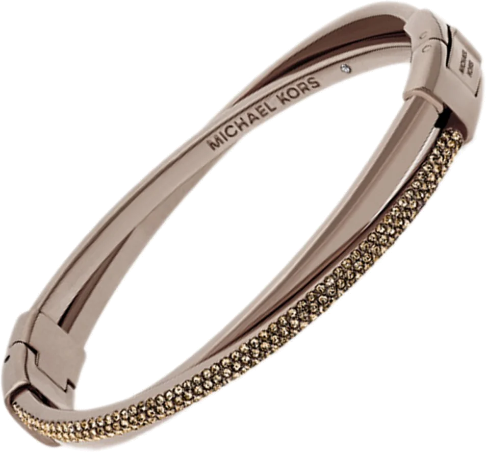 Bracelet Michael Kors MKJ6124798 en acier marron pour femme vue 2