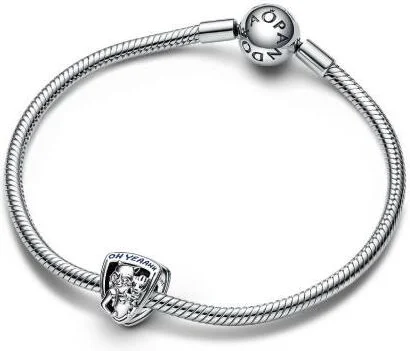 Charm Pandora Gardiens de la Galaxie Blason Rocket Raccoon et Groot - Marvel X Pandora vue 3