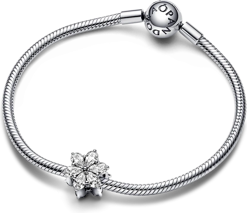 Charm Pandora Timeless Herbier Scintillant 792623C01 en Argent 925/1000 pour Femme vue 3