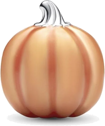 Charm Pandora Pandora Moments Femme - 792291C01 vue 2