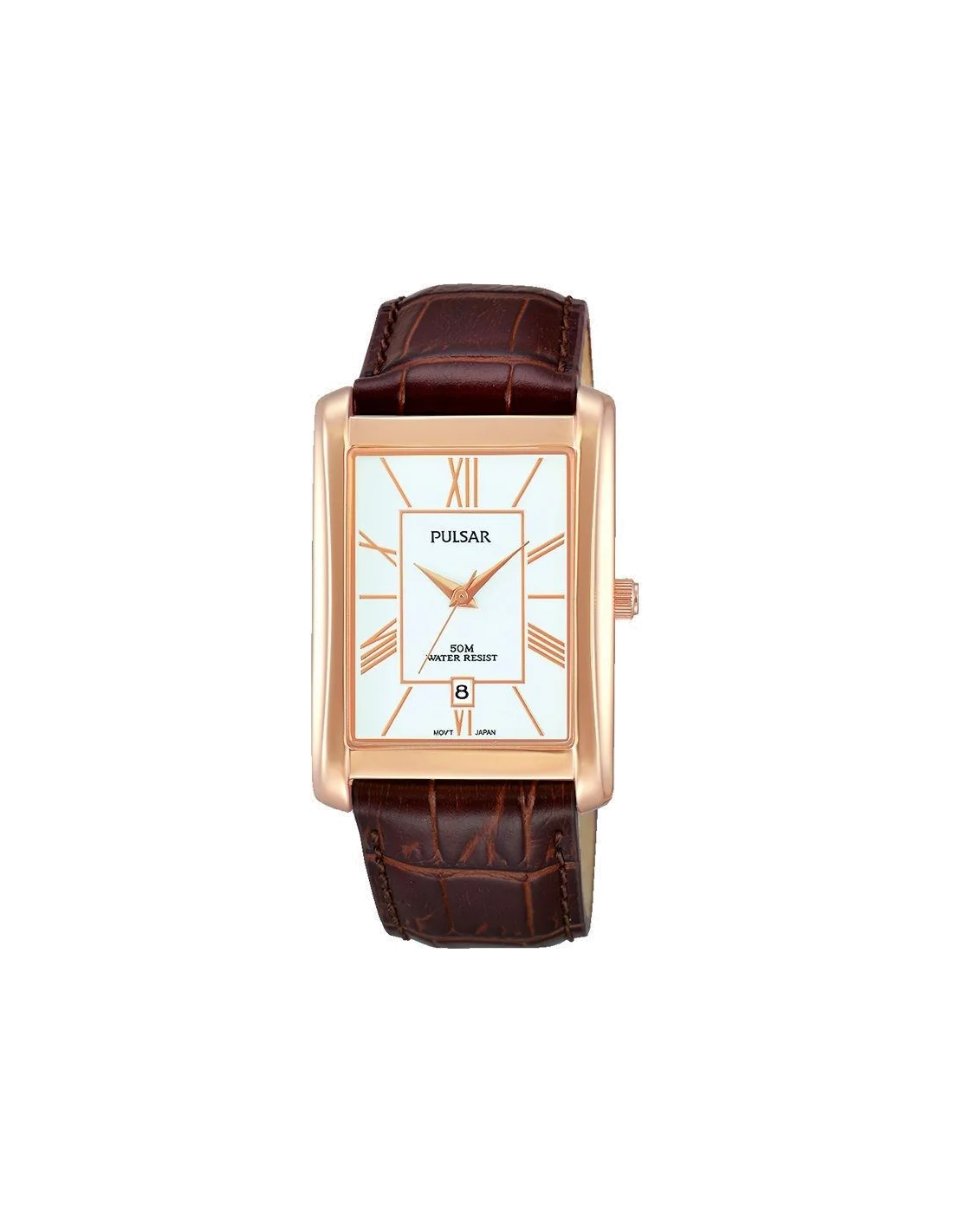 Montre Homme Pulsar PG8248X1 Marron