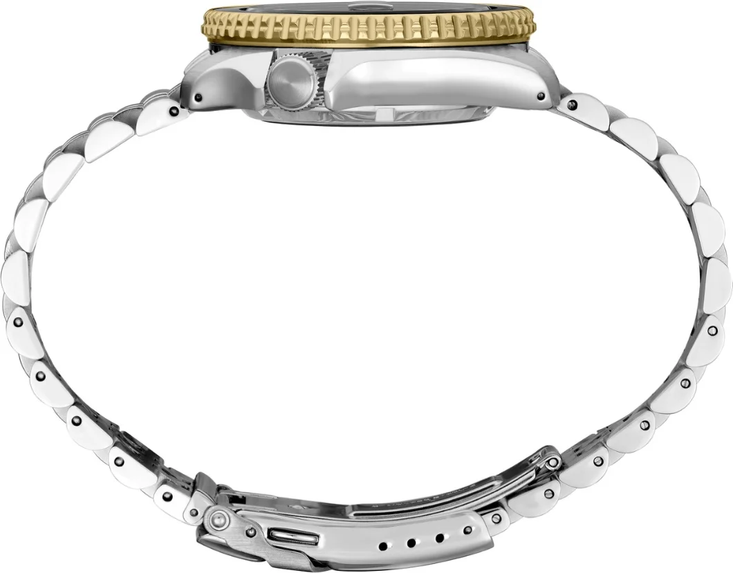 Montre Seiko SSK021K1 GMT Automatique pour Homme, Cadran Noir Acier vue 3