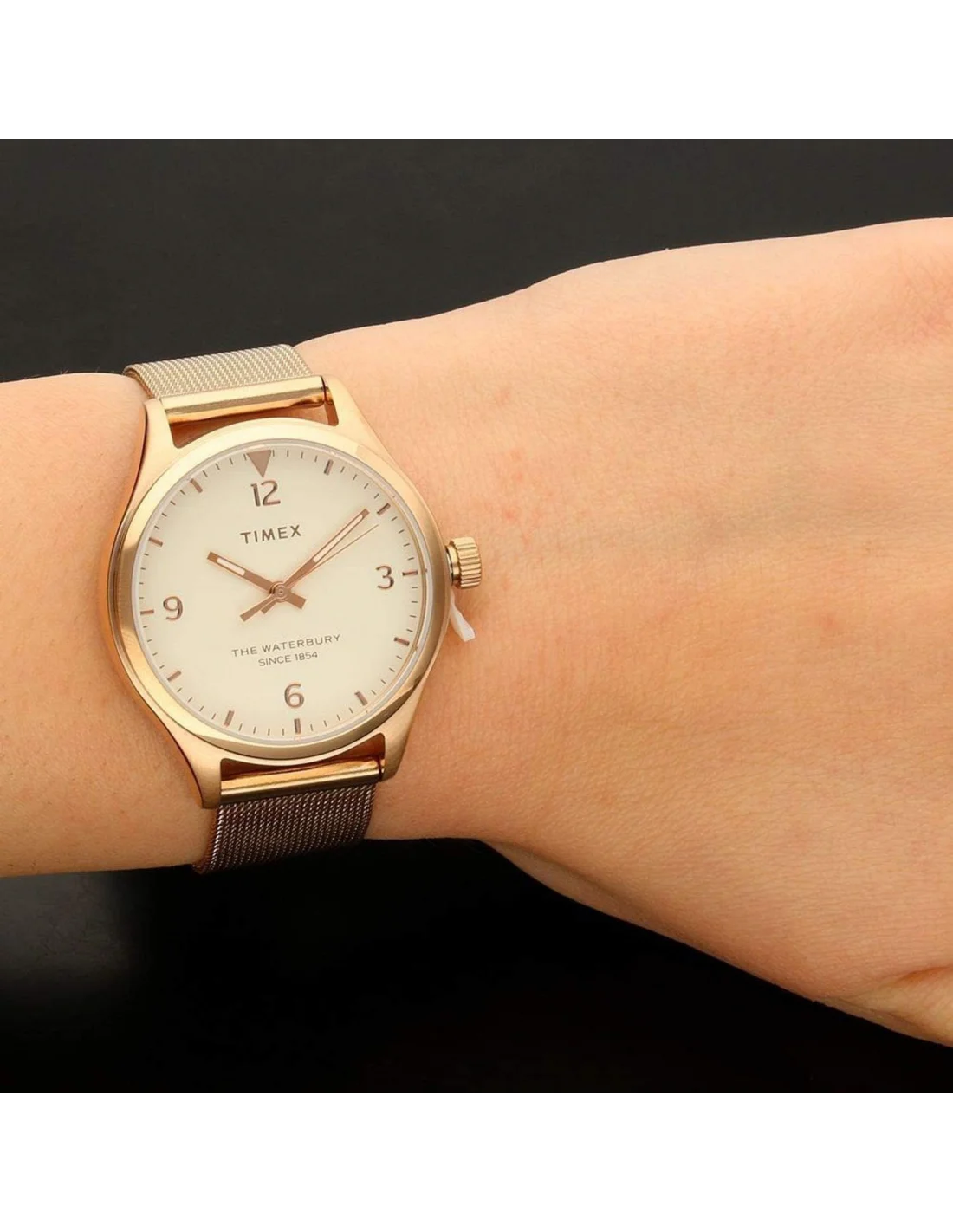 Montre Femme Timex Waterbury TW2T36200 vue 2