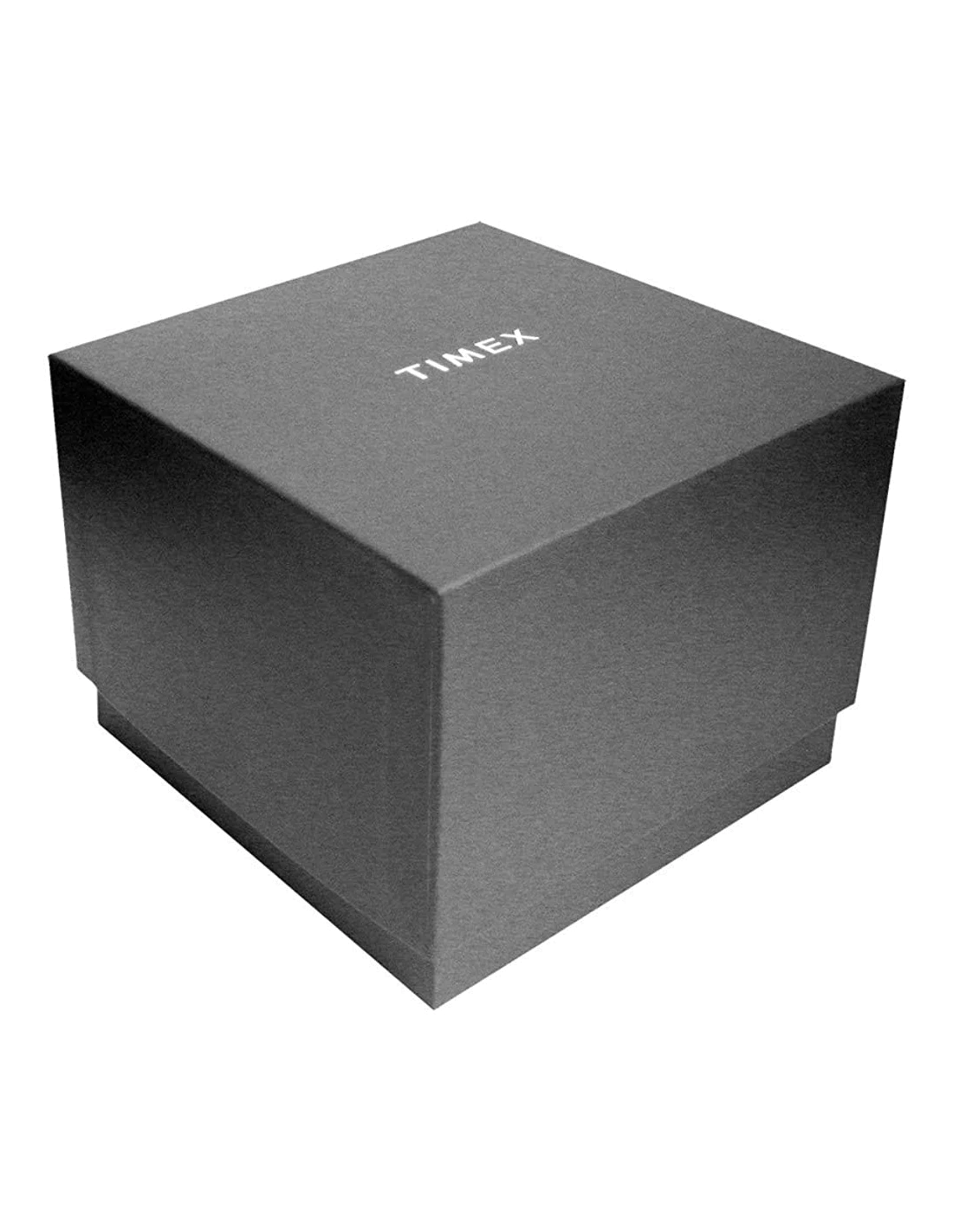 Montre Homme Timex Fairfield TWG016500