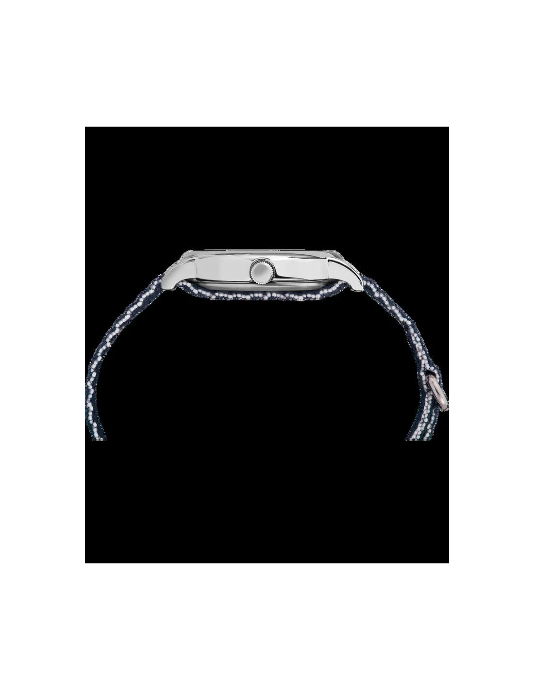 Montre Femme Timex Weekender TW2R106009J Bleu vue 2