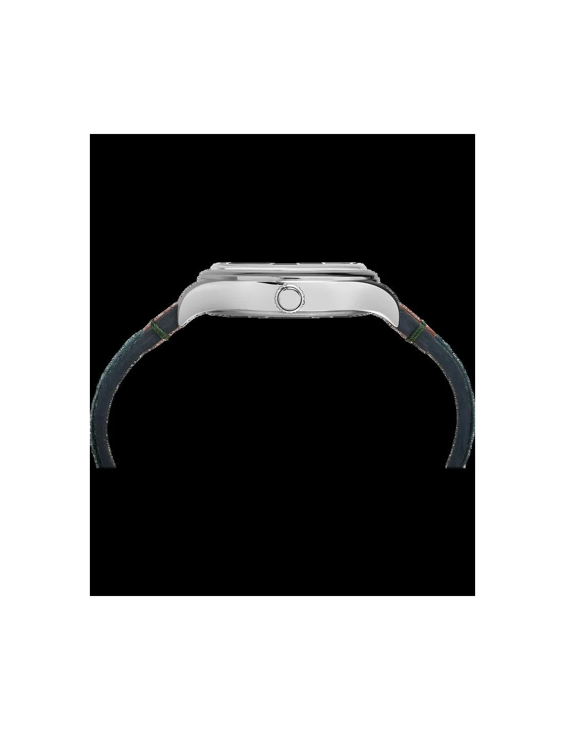 Montre Homme Timex Waterbury TW2P95700ZA Vert vue 2