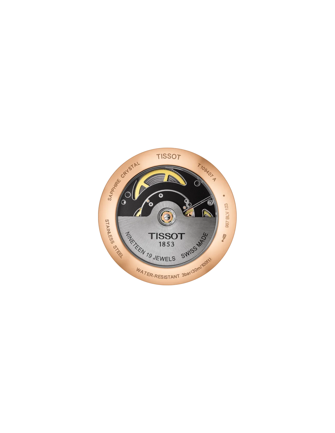 Montre Homme Tissot T-Classic Everytime Swissmatic T1094073603100 vue 3