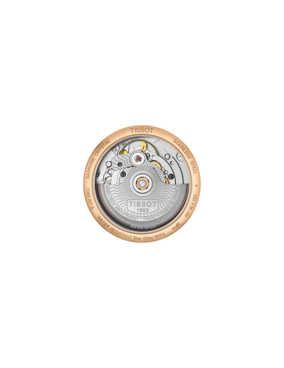 Montre Femme Tissot T-Classic Chemin des Tourelles Powermatic 80 Lady T0992073644700 vue 2