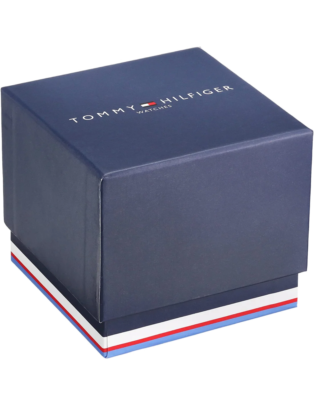 Montre Homme Tommy Hilfiger 1791348 - Cadran Bleu & Bracelet Acier Argenté vue 3