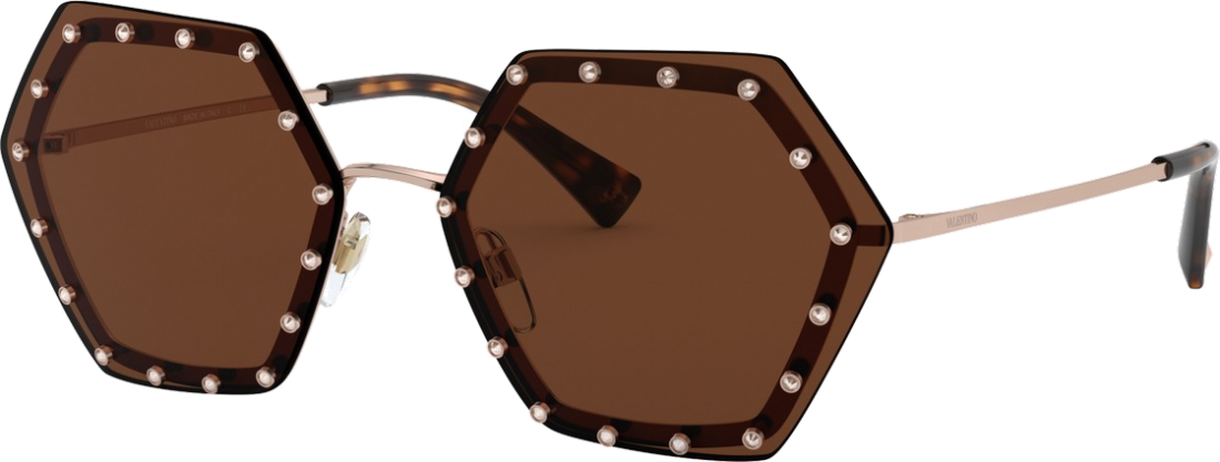 Lunettes de soleil Valentino Garavani VA2035 Ruthenium forme hexagonales - Marron vue 2