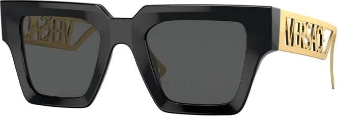 Lunettes de soleil Versace VE4431 branches en métal - Noir vue 4